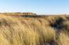 terschelling2022_026_small.jpg