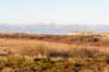 terschelling2022_029_small.jpg
