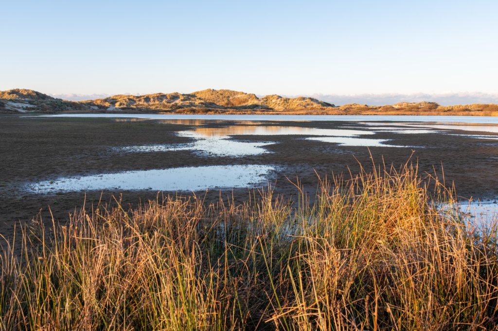 terschelling2022_030.jpg