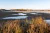 terschelling2022_030_small.jpg