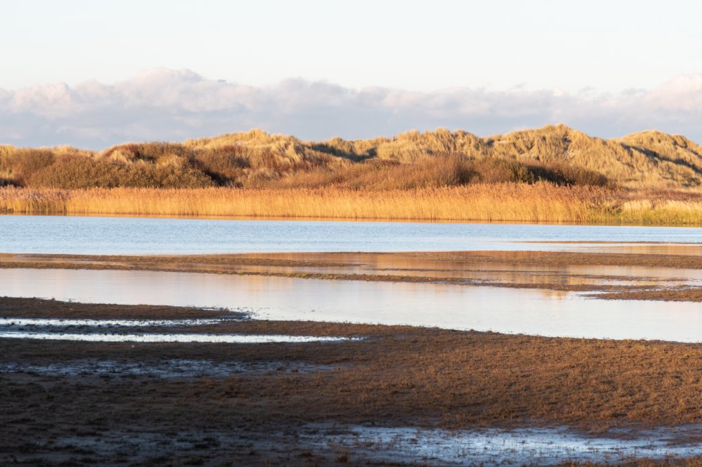 terschelling2022_032.jpg