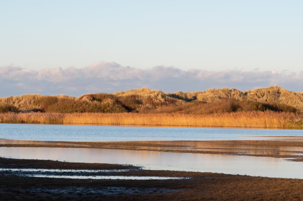 terschelling2022_033.jpg