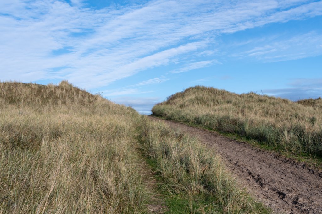 terschelling2022_036.jpg