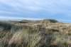 terschelling2022_038_small.jpg