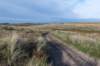 terschelling2022_039_small.jpg
