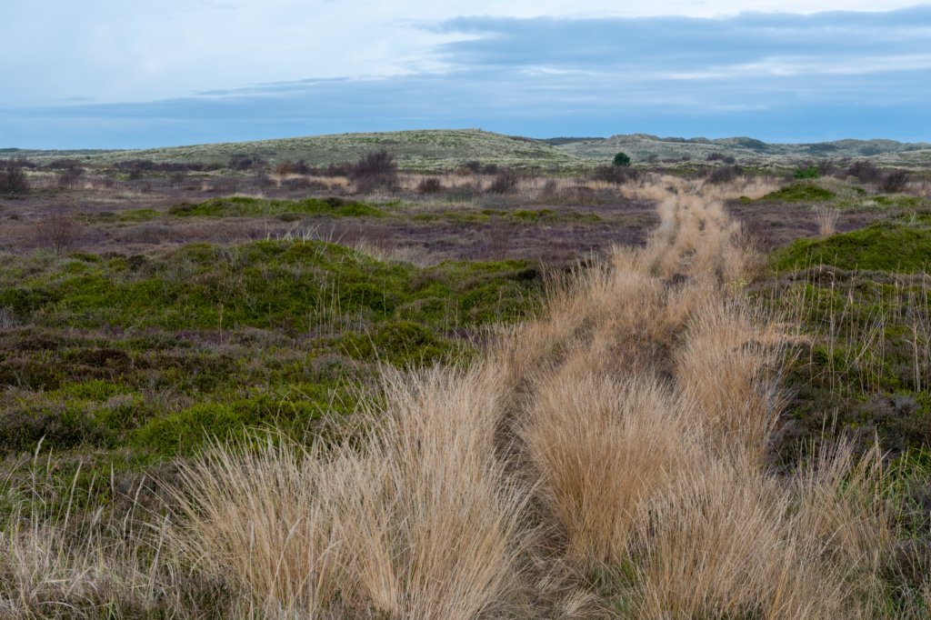 terschelling2022_040.jpg