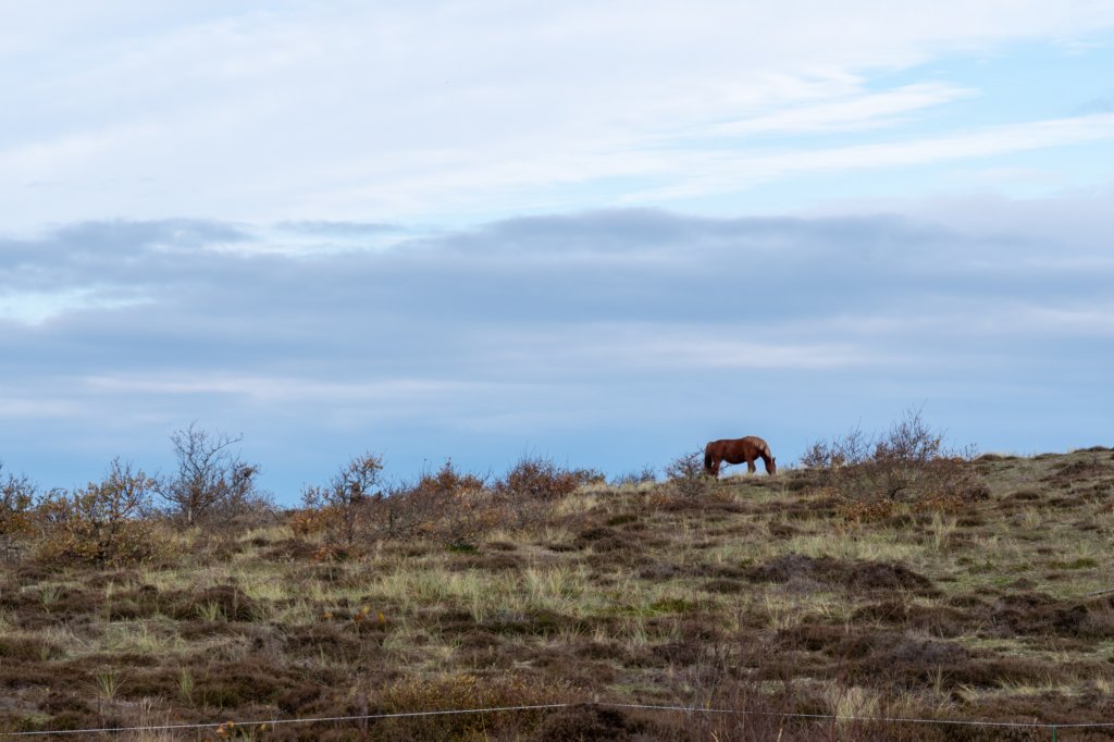 terschelling2022_041.jpg