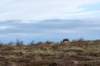 terschelling2022_041_small.jpg
