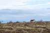 terschelling2022_042_small.jpg