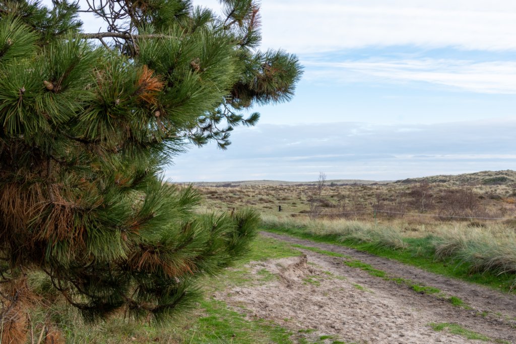 terschelling2022_044.jpg