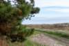 terschelling2022_044_small.jpg