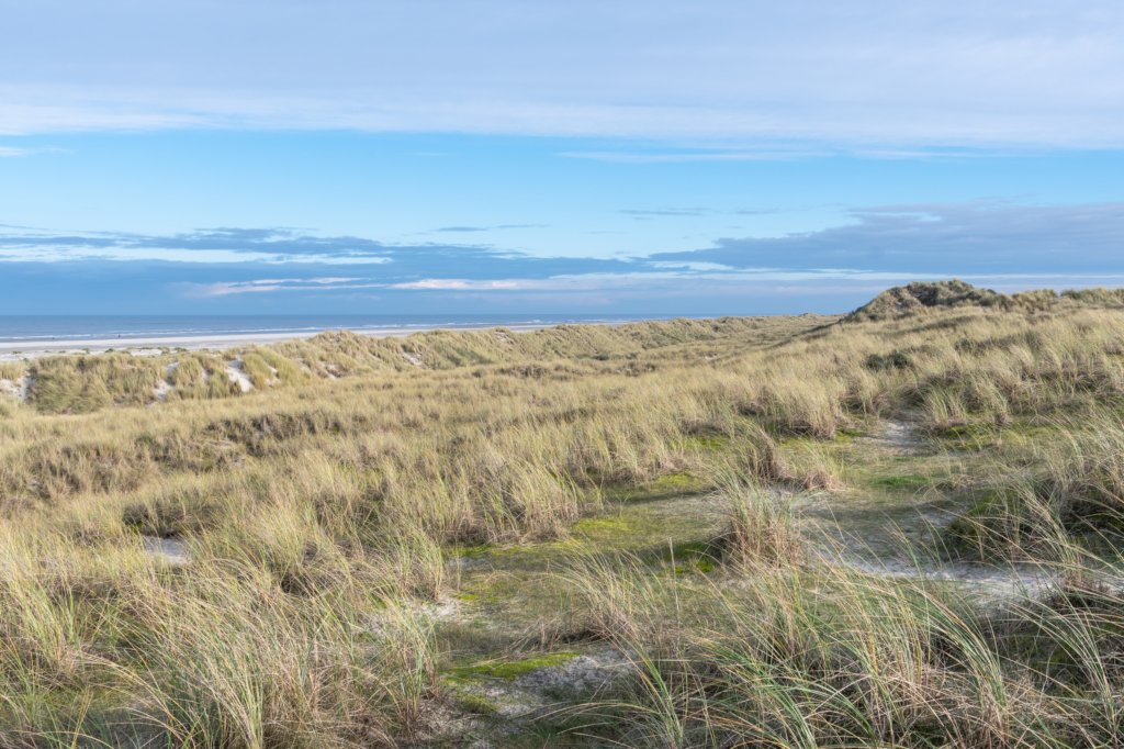 terschelling2022_051.jpg