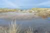 terschelling2022_055_small.jpg