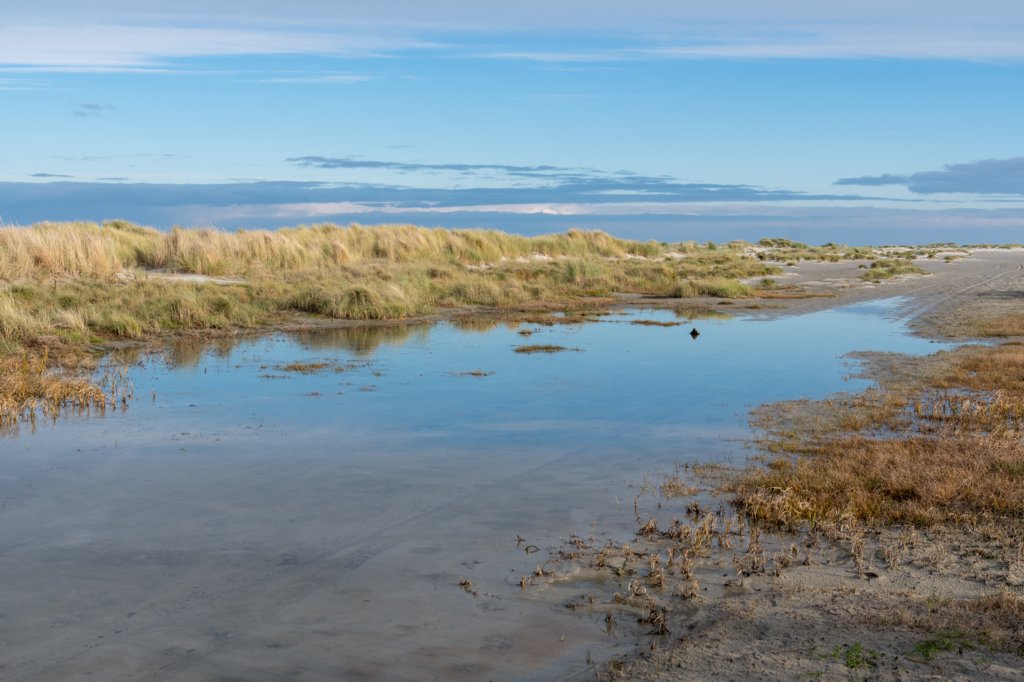 terschelling2022_057.jpg