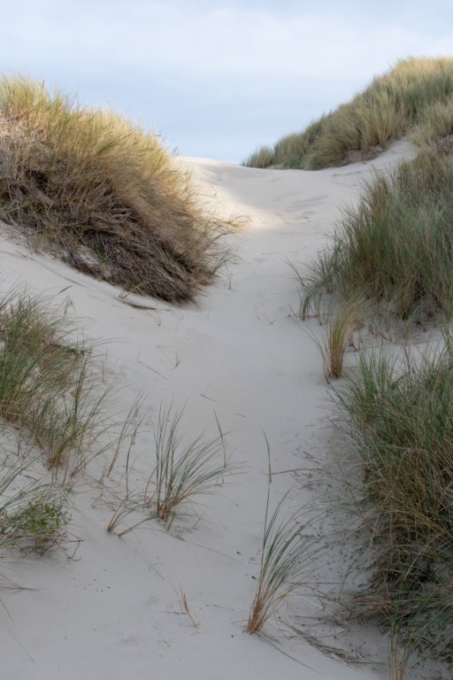terschelling2022_059.jpg