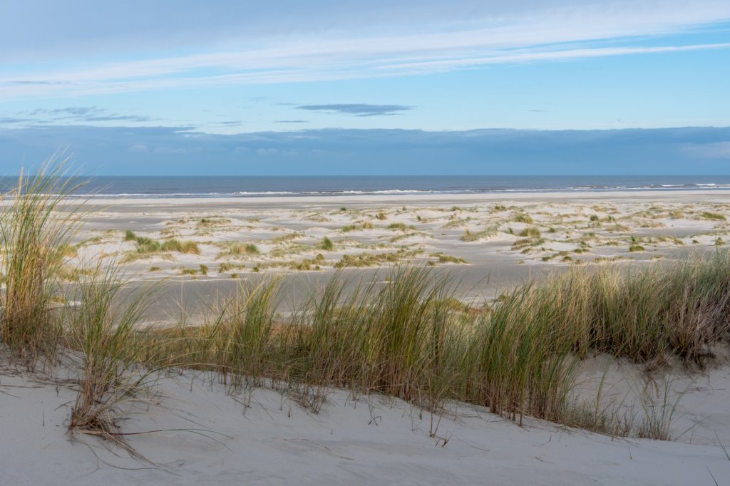 terschelling2022_062.jpg