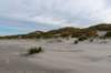 terschelling2022_064_small.jpg