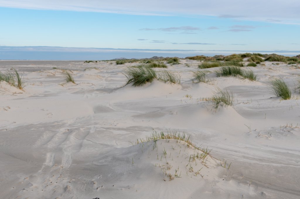 terschelling2022_070.jpg