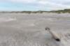 terschelling2022_071_small.jpg