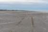 terschelling2022_072_small.jpg