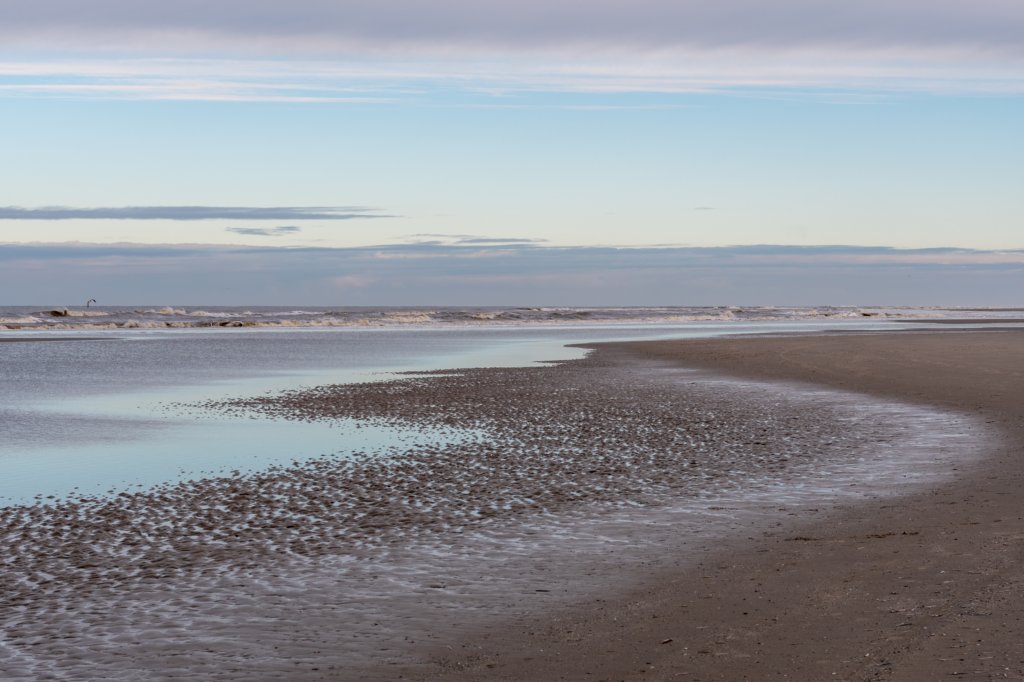 terschelling2022_082.jpg