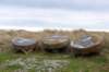 terschelling2022_088_small.jpg