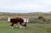 terschelling2022_090_small.jpg