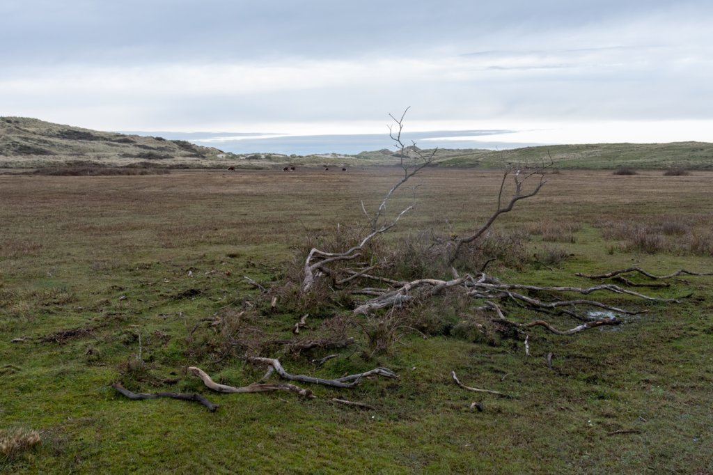 terschelling2022_091.jpg