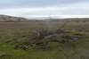 terschelling2022_091_small.jpg