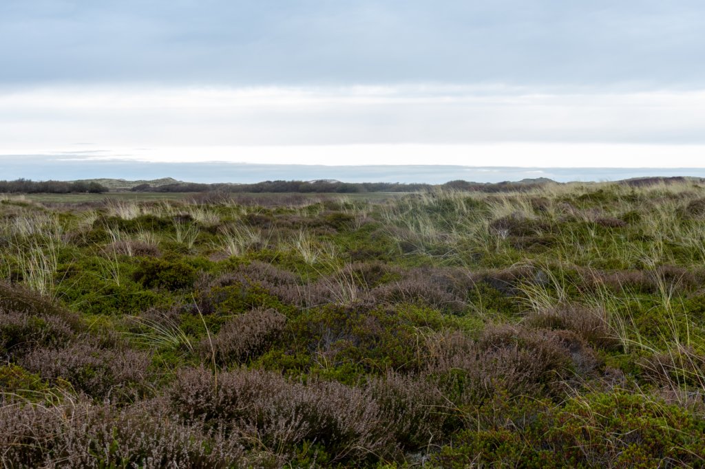 terschelling2022_092.jpg