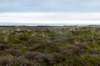 terschelling2022_092_small.jpg