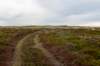 terschelling2022_093_small.jpg