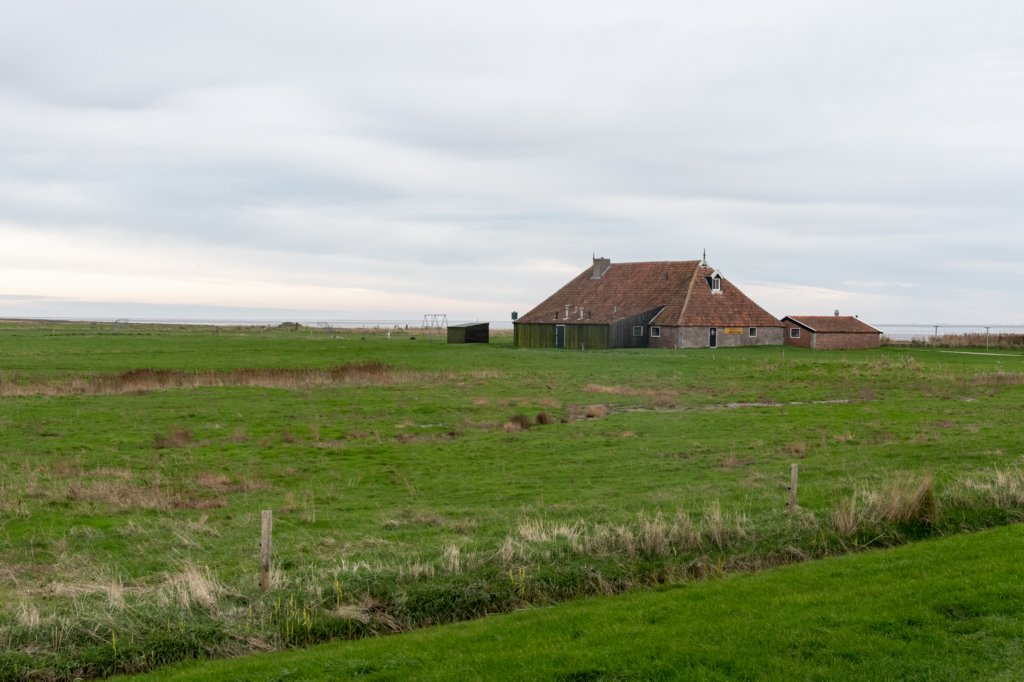terschelling2022_101.jpg