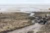 terschelling2022_105_small.jpg