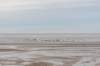 terschelling2022_106_small.jpg