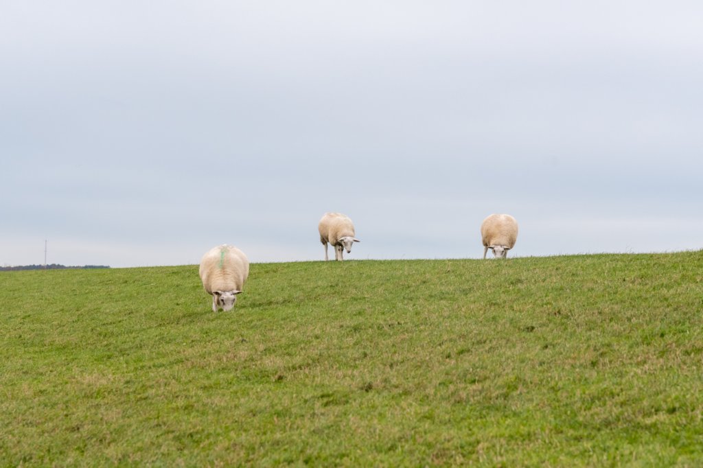 terschelling2022_107.jpg