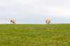 terschelling2022_108_small.jpg