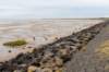 terschelling2022_113_small.jpg