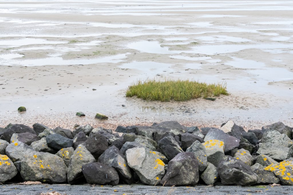 terschelling2022_114.jpg