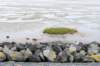 terschelling2022_114_small.jpg