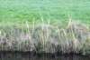 terschelling2022_117_small.jpg