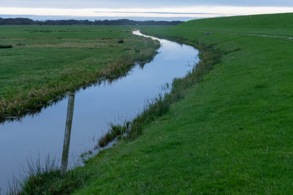 terschelling2022_128.jpg
