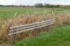 terschelling2022_129_small.jpg