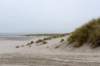terschelling2022_132_small.jpg