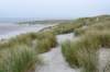 terschelling2022_134_small.jpg