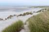 terschelling2022_135_small.jpg