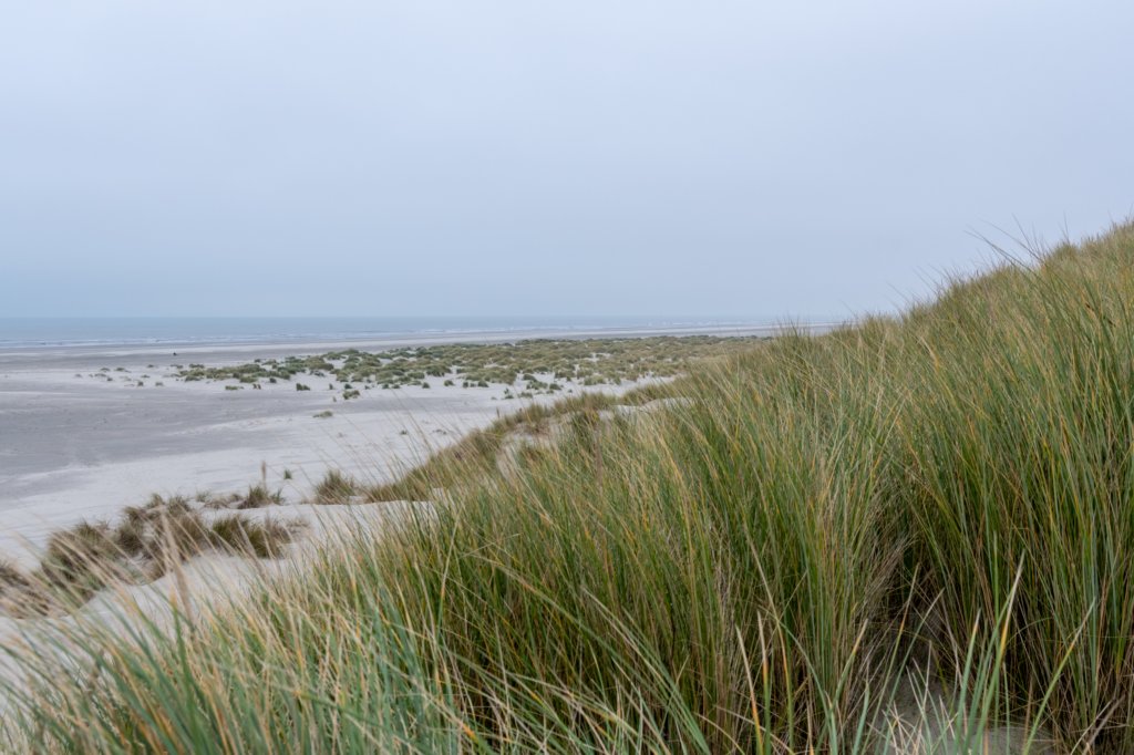 terschelling2022_136.jpg