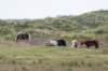 terschelling2022_139_small.jpg