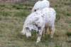 terschelling2022_140_small.jpg