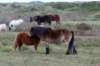 terschelling2022_141_small.jpg